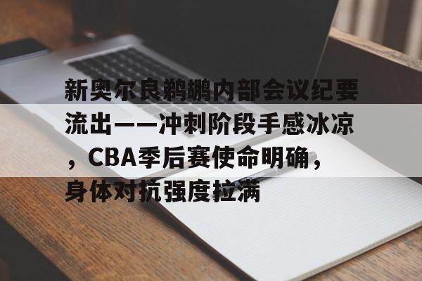 爱游戏官方入口-包含新奥尔良鹈鹕内部会议纪要流出——冲刺阶段手感冰凉,CBA季后赛使命明确,身体对抗强度拉满的词条