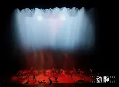 爱游戏官网-郁金香为什么不能种家里